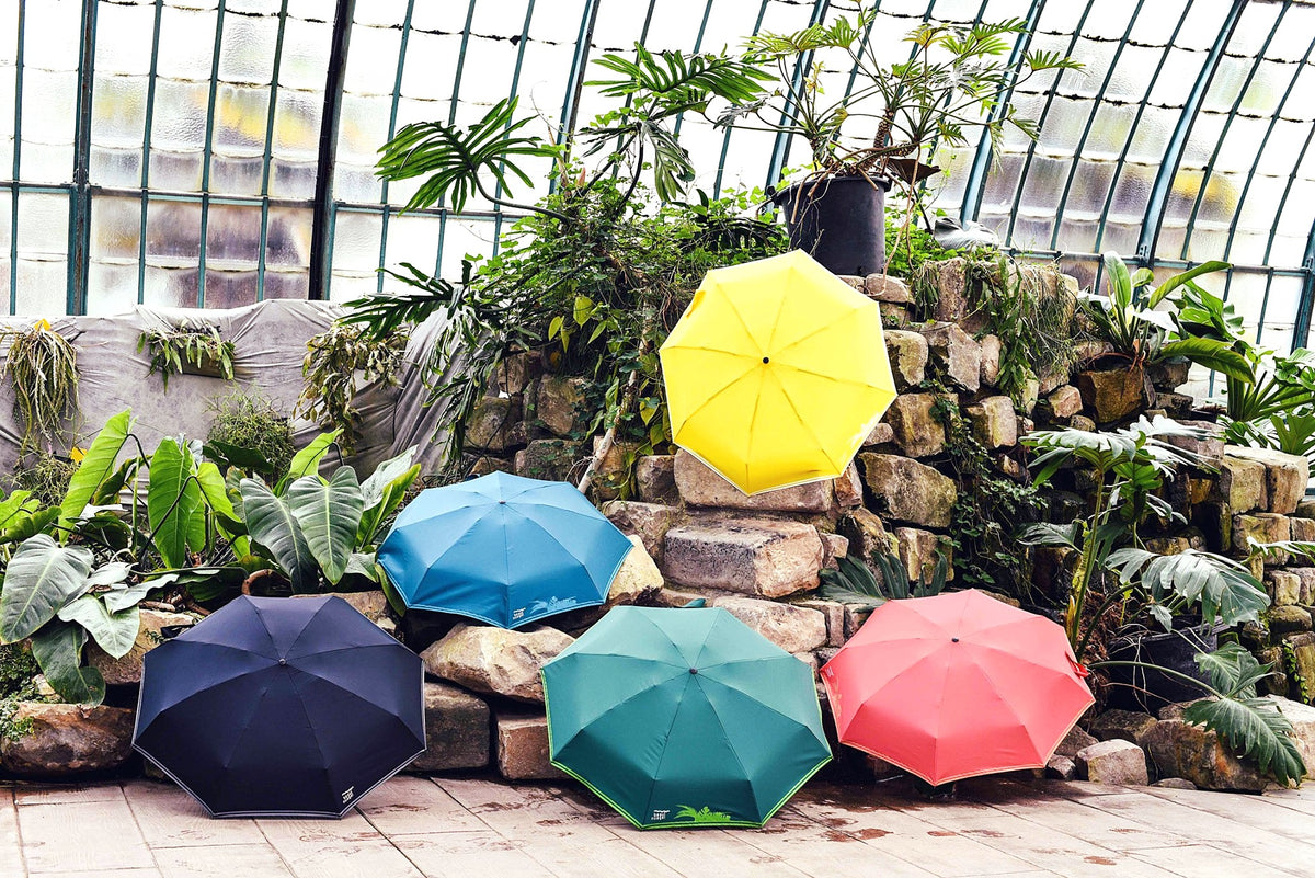 PARAPLUIE