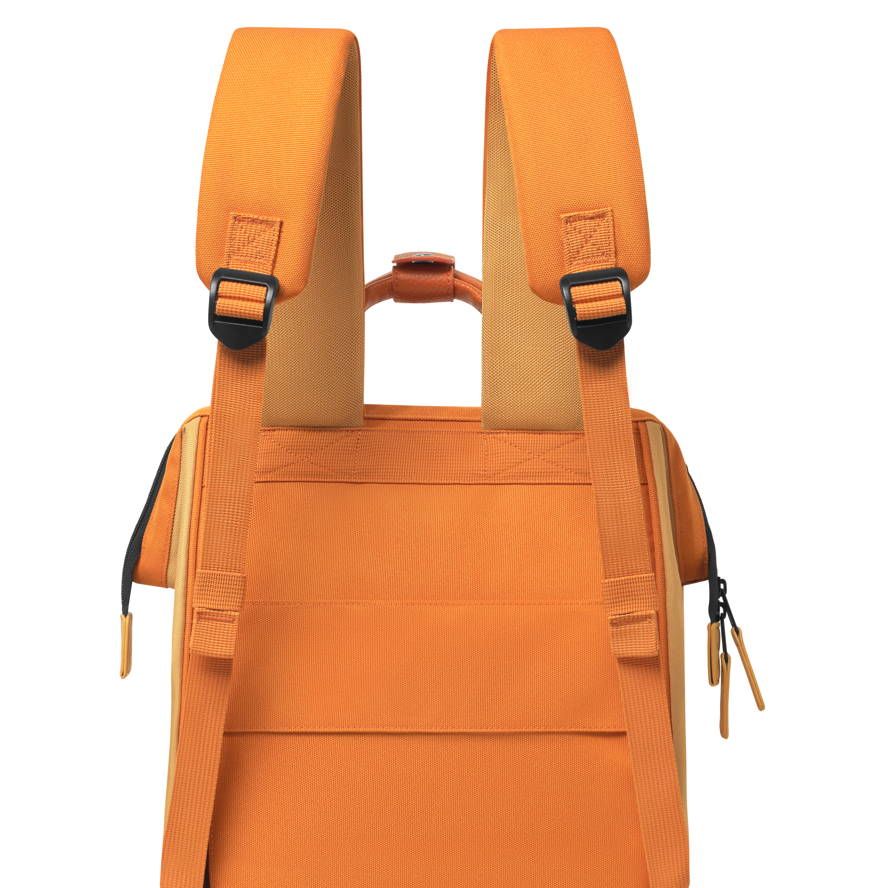 Sac à dos - Medium Adventurer - Grasse