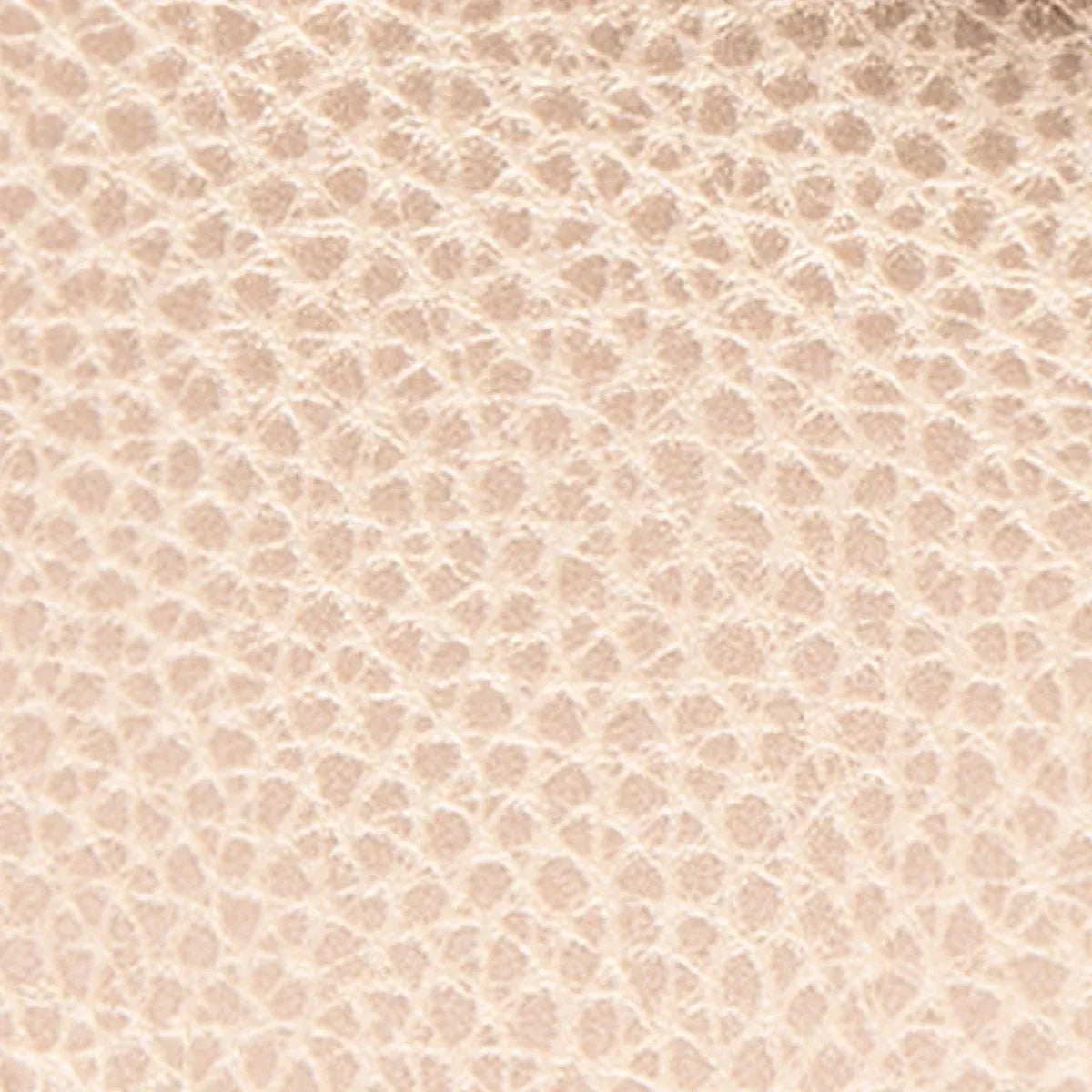 Pochette - La Casbah